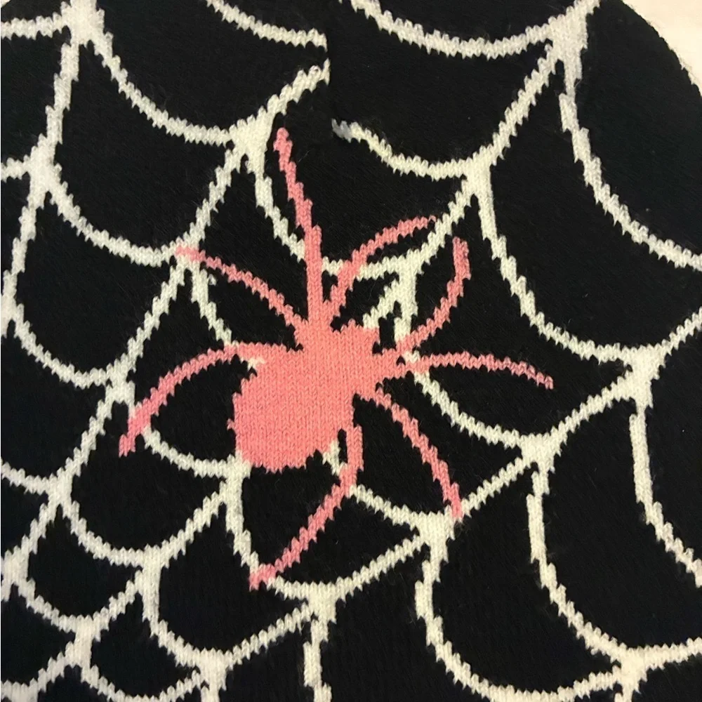 Black and White Spider Web Beanie